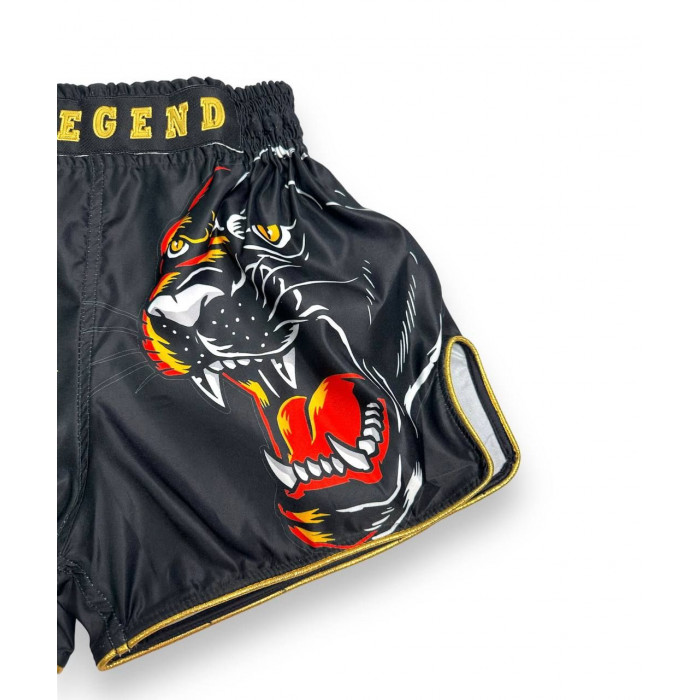 Шорты для бокса Blegend Magic Tiger 2XL