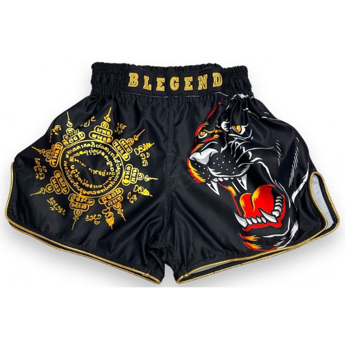 Шорты для бокса Blegend Magic Tiger 2XL