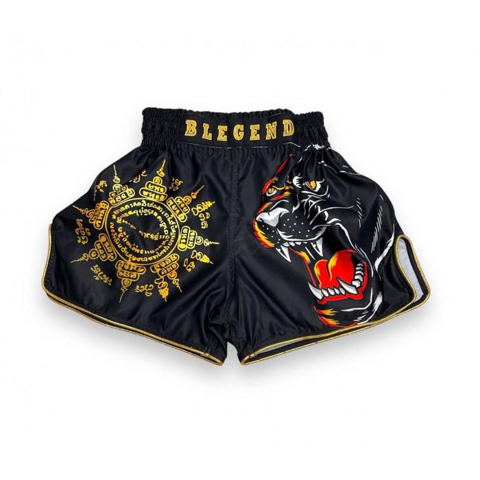 Шорты для бокса Blegend Magic Tiger XL