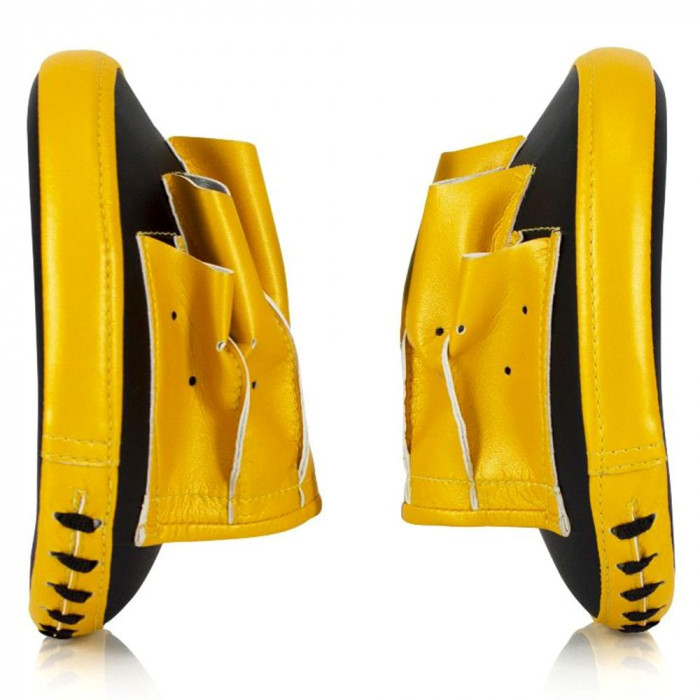 Боксёрские лапы Fairtex FMV15 Focus Mitts