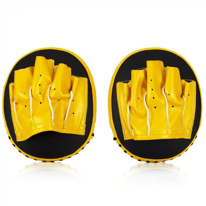 Боксёрские лапы Fairtex FMV15 Focus Mitts