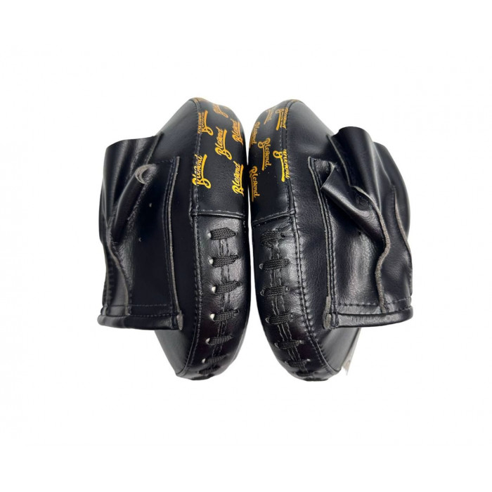 Лапы боксерские Blegend Focus Mitts BFM17