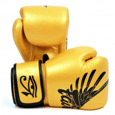 Боксерские перчатки Fairtex BGV1 Falcon 14 oz