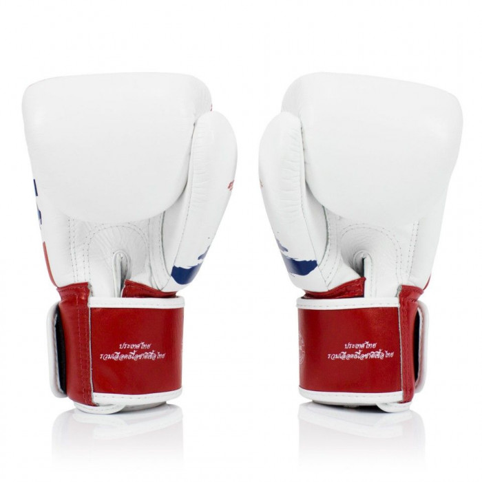 Боксерские перчатки Fairtex BGV1 Thai PriDe 10 oz