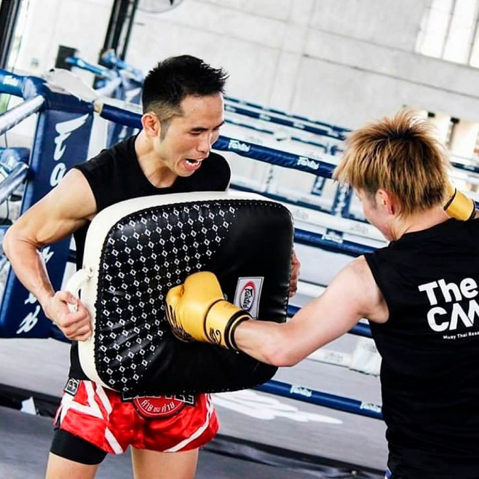 Макивара Fairtex LKP1 Тайский Чемодан