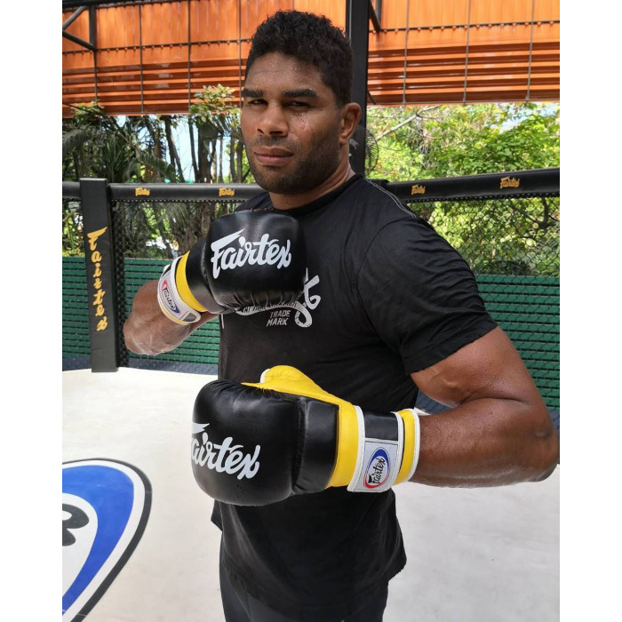 Перчатки Fairtex FGV18 black blue M