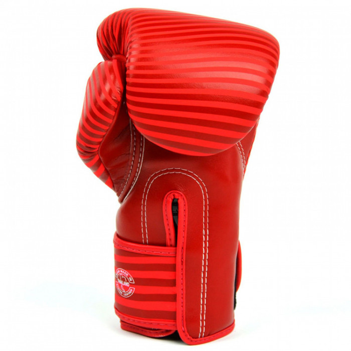 Боксерские перчатки Fairtex BGV14 Minimalisma 10 oz