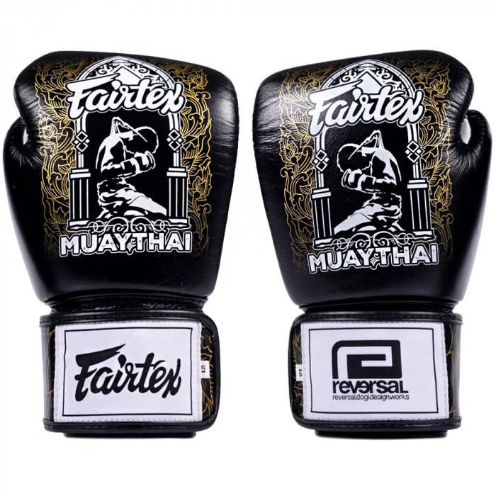 Боксерские перчатки Fairtex BGV premium Reversal 14 oz