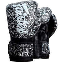 Боксерские перчатки Fairtex BGV14 Painter black 14 oz