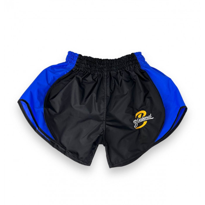 Шорты для бокса Blegend Powerhous black blue - S