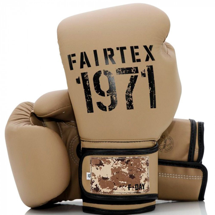 Боксерские перчатки Fairtex BGV25 F-DaY2 12 oz