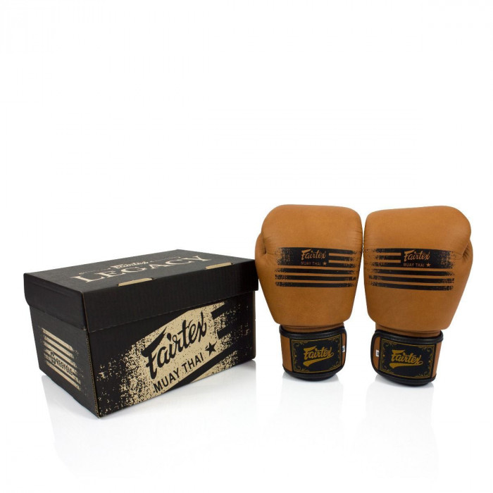 Боксерские перчатки Fairtex BGV21 LEGACY 16 oz