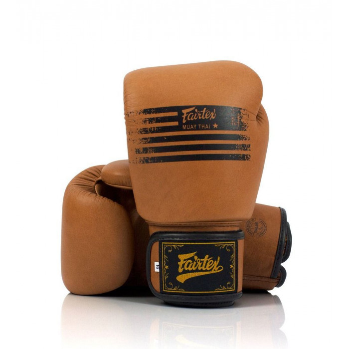 Боксерские перчатки Fairtex BGV21 LEGACY 10 oz