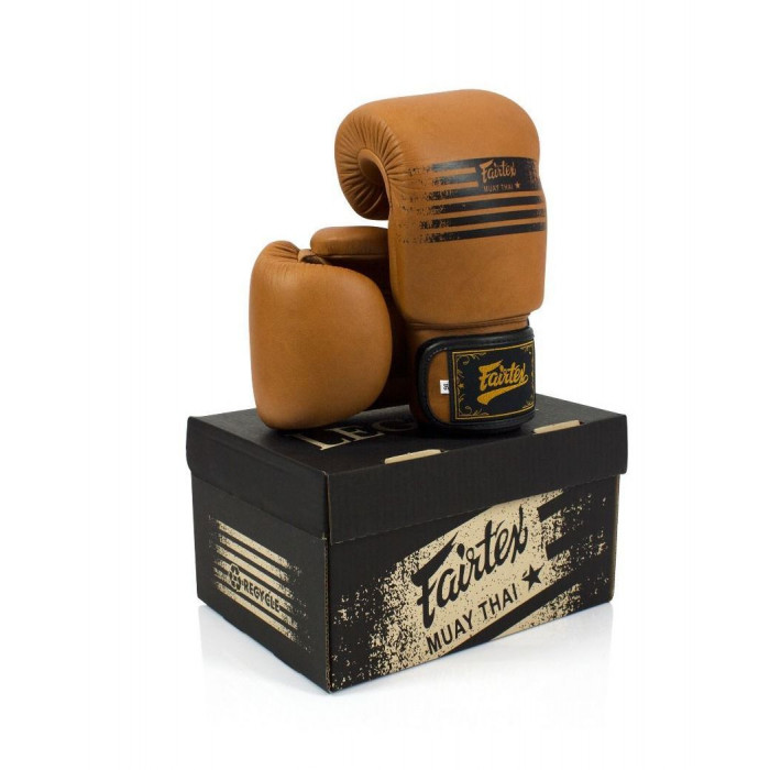 Боксерские перчатки Fairtex BGV21 LEGACY 14 oz