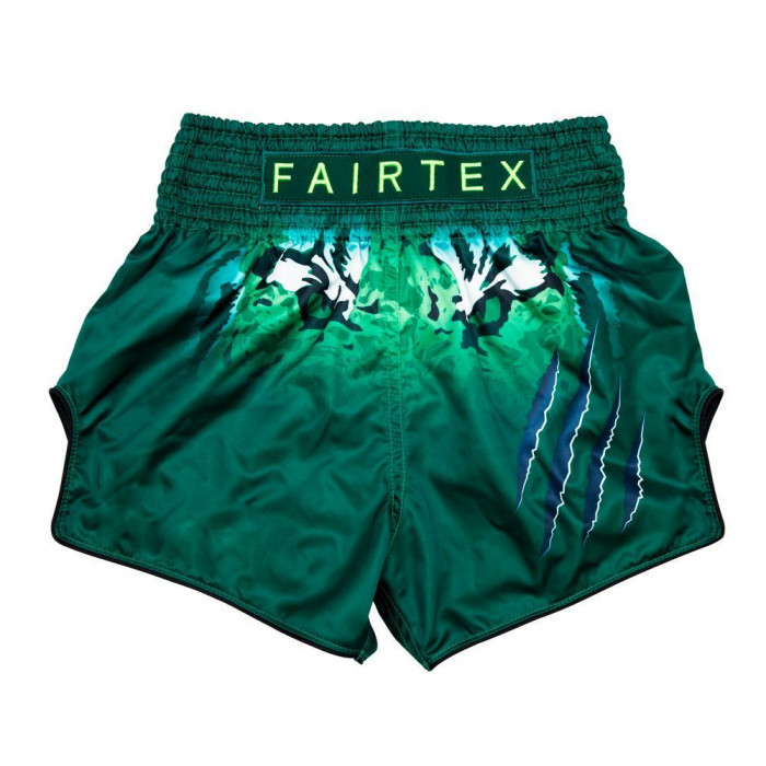Шорты для бокса Fairtex BS1913 S