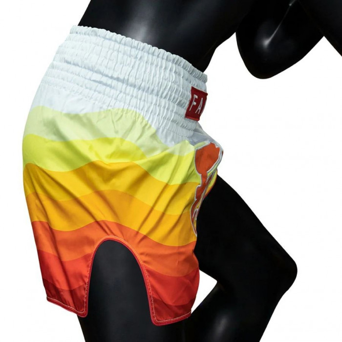 Шорты для бокса Fairtex BS1932 SPECTRUM - XL