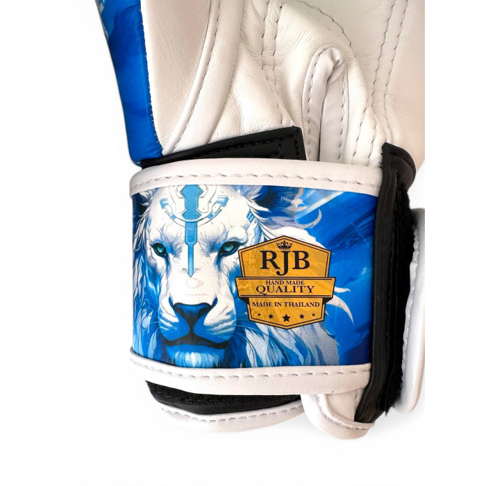 Боксёрские перчатки Raja Leo Frost 10 oz