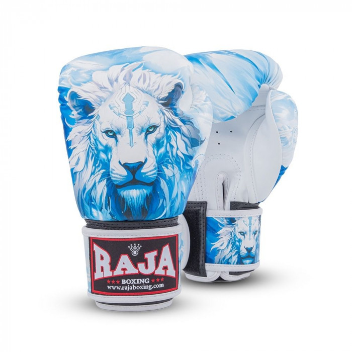 Боксёрские перчатки Raja Leo Frost 10 oz